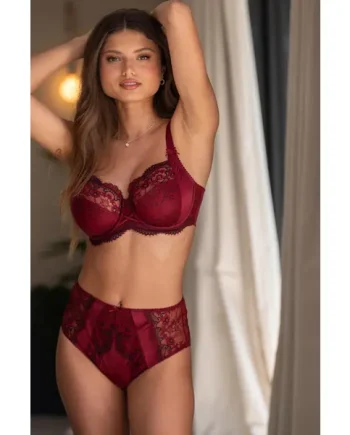 Hollywood High Waist Light Control Brief - Burgundy