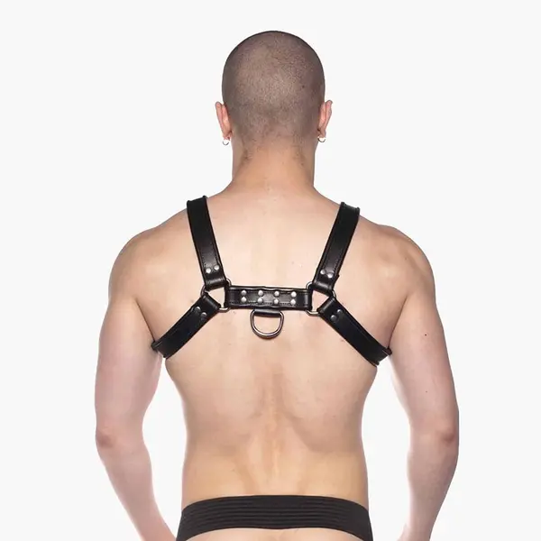 Bull Harness