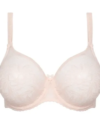 DIVINE venus