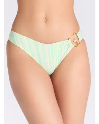Neapolitan stripe bikini bottoms