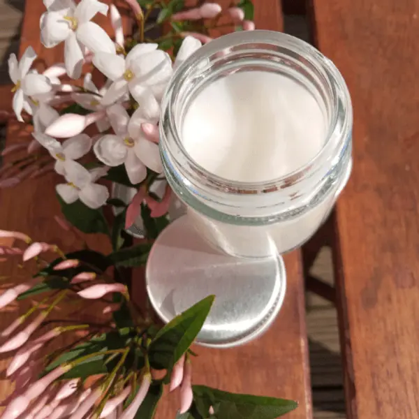 Serenity Face Cream – Avalon Alchemy