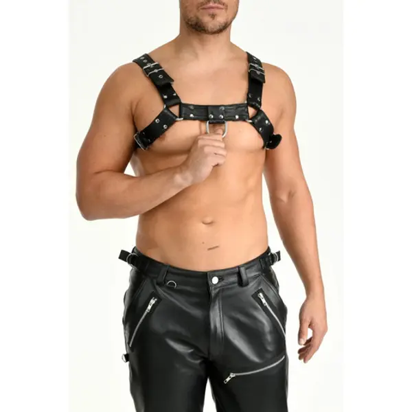 Leather Strap on Harness Adjustable