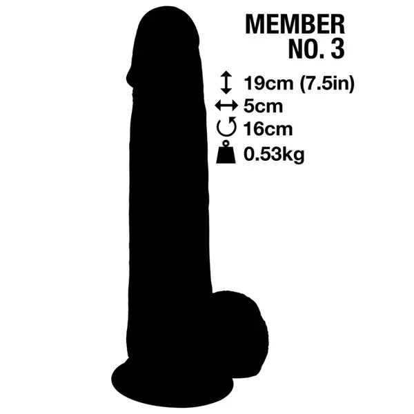 Member No. 3