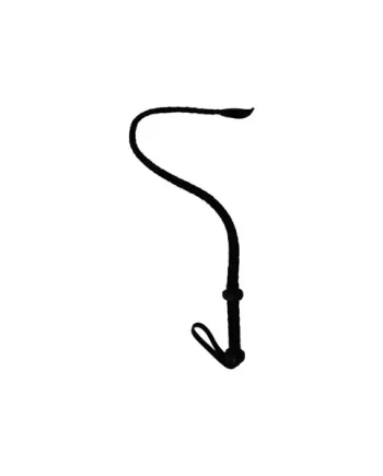 Single Tail Leather Whip