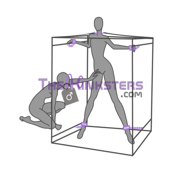 Secret Dome Scandale Giant Bondage Box Purple