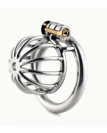 Stainless Steel Birdcage Chastity Cage 50mm