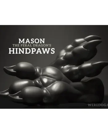 Mason 2nd Paw Upgrade