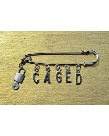 Caged Safety Pin Brooch TCGSP1