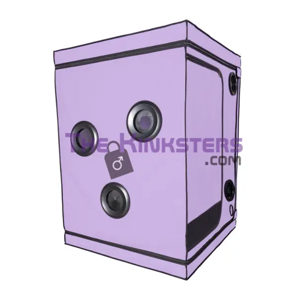 Secret Dome Scandale Giant Bondage Box Purple