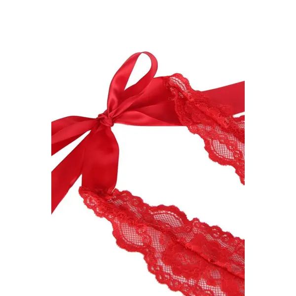 Tammy Plus Size Red Lace Teddy