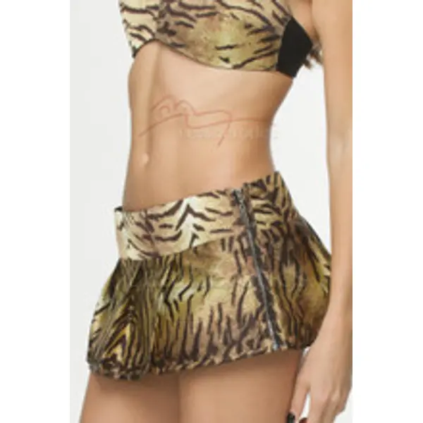 Bra Top With Skirt Tiger Print Set