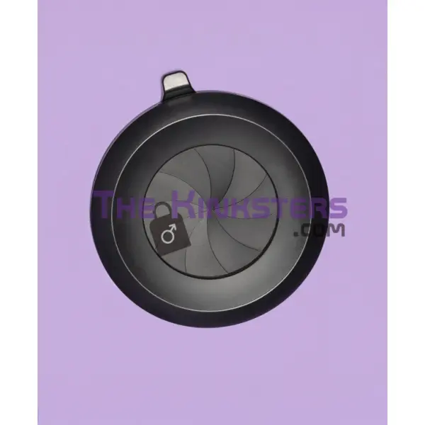 Secret Dome Scandale Giant Bondage Box Purple