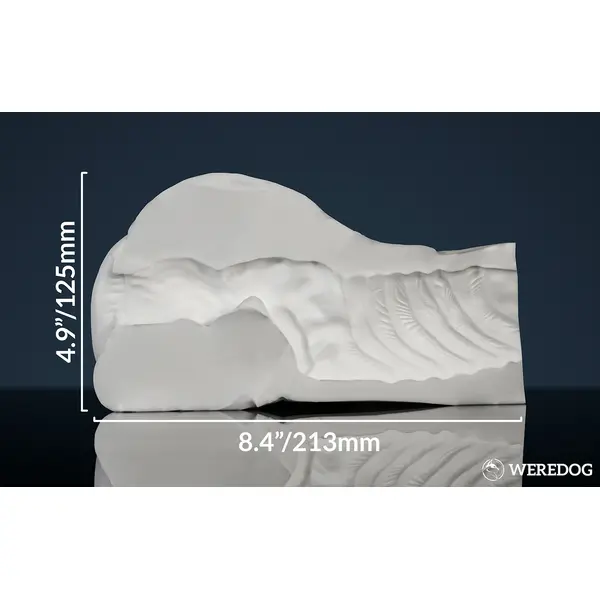 Gideon’s Butt