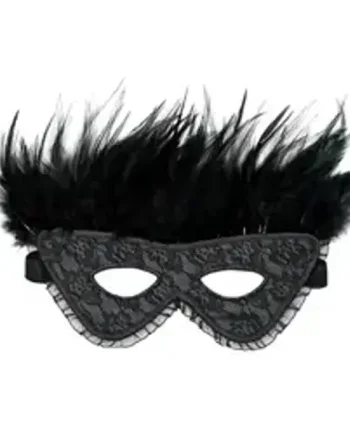 Satin Look Feather Mask