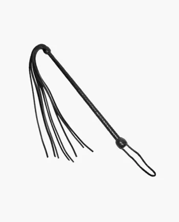 Long Handled Whip