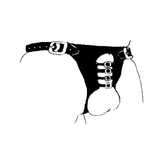 Penis Controlling Harness Total Chastity Harness