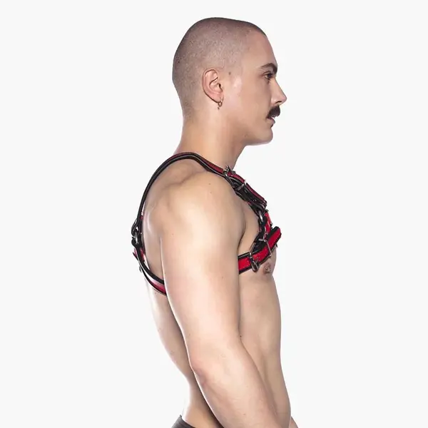 Bull Harness