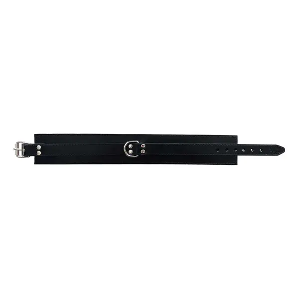 Leather Collar with Faux Fur Lining