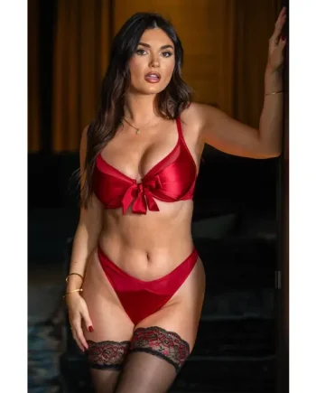 All Yours Satin and Mesh Front Fastening Set - Red
