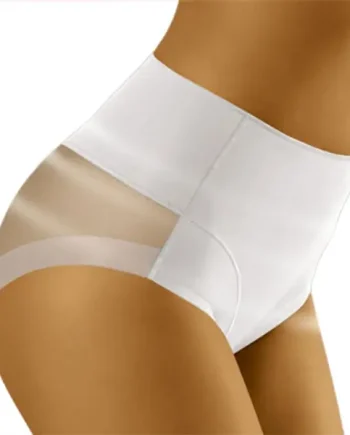 Control Panty
