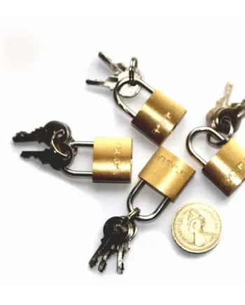 Brass Padlock Bondage Accessories