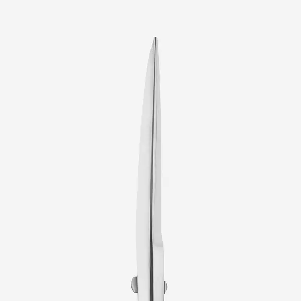 Staleks SCISSORS FOR EYEBROWS EXPERT 30/1