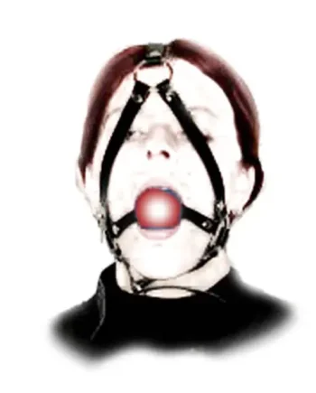 Ball Gag and Bondage Head Harness