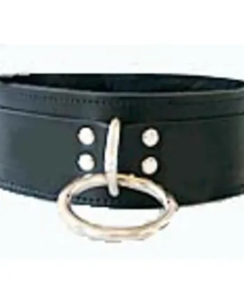 Slave Collar Heavy Leather Fetish