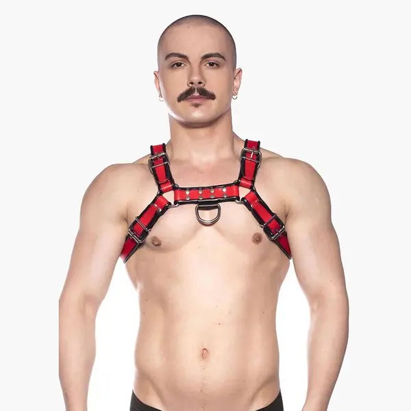 Bull Harness