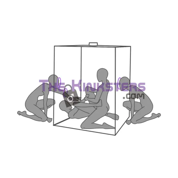 Secret Dome Scandale Giant Bondage Box Purple