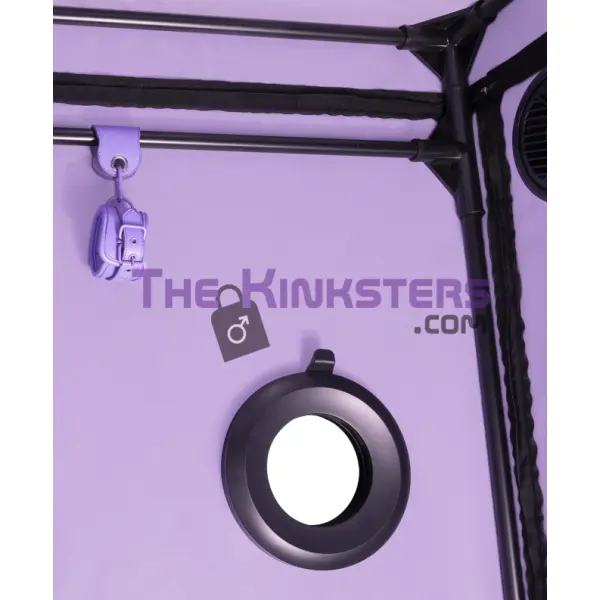 Secret Dome Scandale Giant Bondage Box Purple