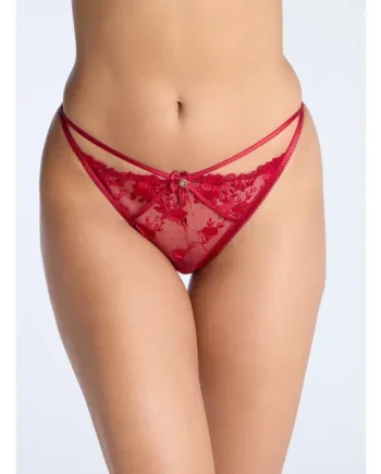 Romanza embroidered briefs