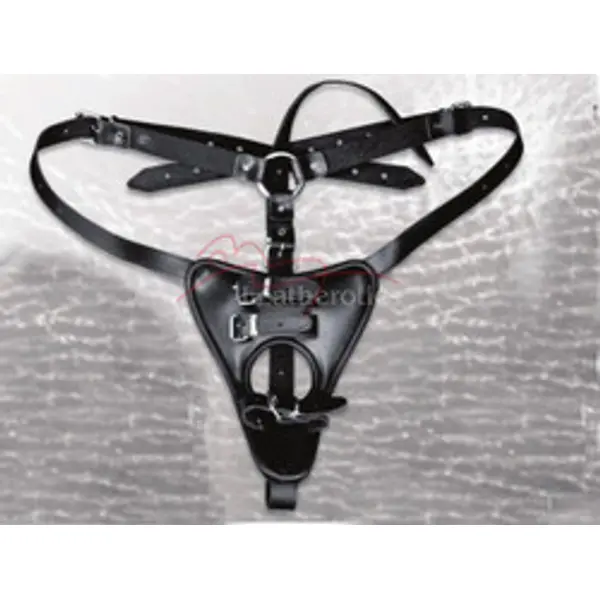 Leather Strap on Harness Adjustable