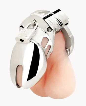 Small 2.75inch Cock Humiliation Chastity Cage