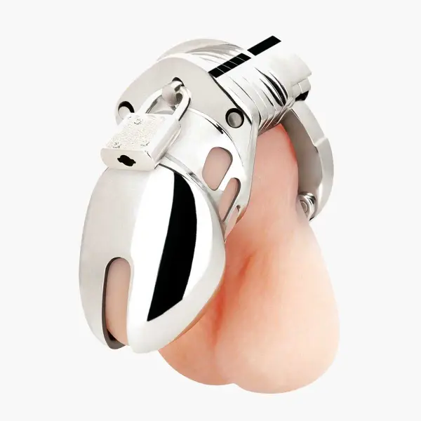 Small 2.75inch Cock Humiliation Chastity Cage