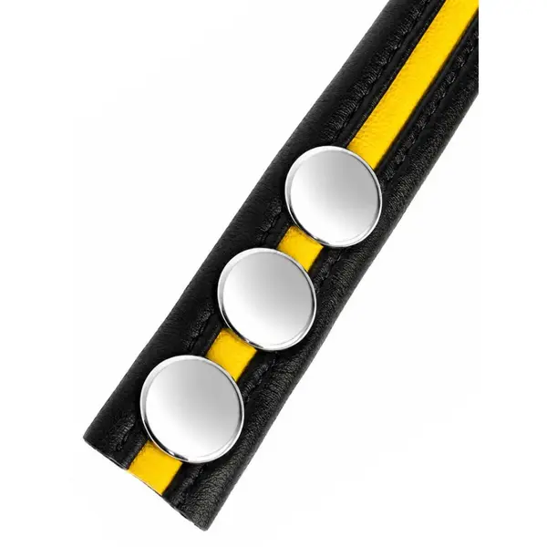 LeatherBound • Yellow