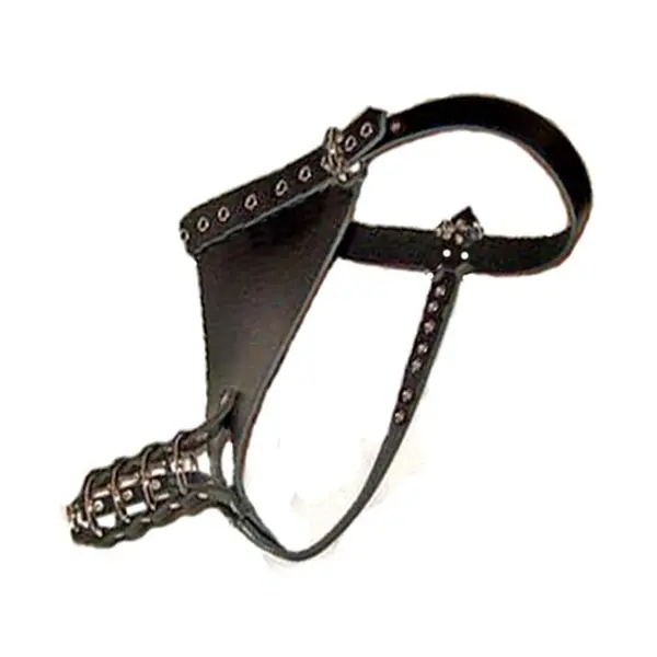 Penis Ring Cage Restraint Harness