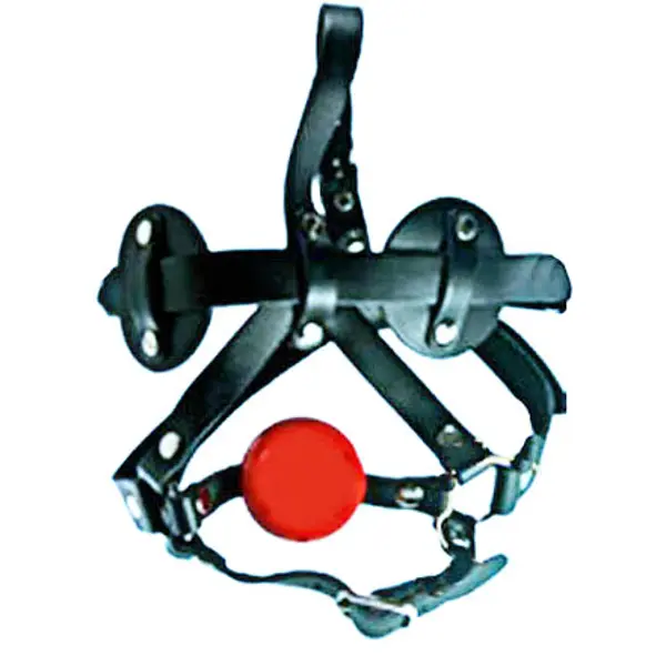Goggle Style Bondage Head Harness