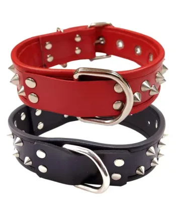 Leather Studded Collar
