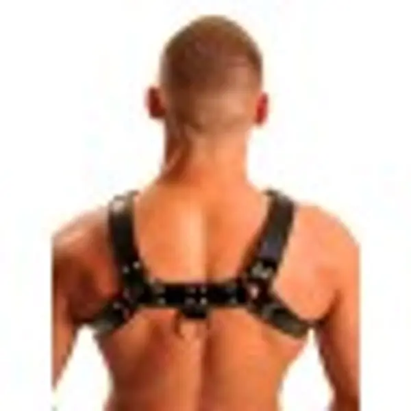 Fist Leather Chest Harness • Black