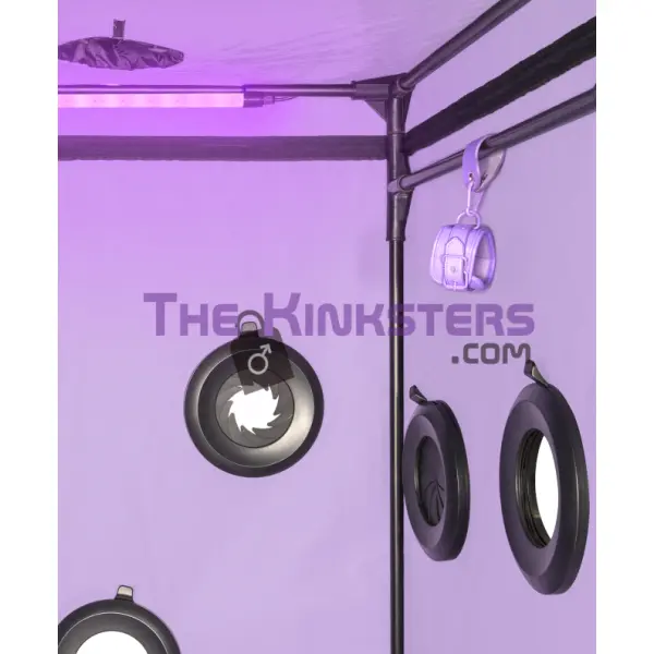 Secret Dome Scandale Giant Bondage Box Purple
